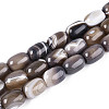 Natural Agate Beads Strands G-N356-02A-02-2