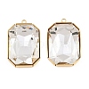 304 Stainless Steel & Glass Pendants STAS-G398-27G-01-1