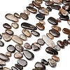 Natural Petrified Wood Beads Strands G-C253-06-2