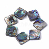 Abalone Shell/Paua Shell Beads SSHEL-T008-15-1