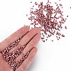 8/0 Glass Seed Beads SEED-S006-32-5