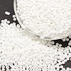 15/0 Glass Seed Beads SEED-J014-F15-41-1