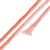 10 Skeins 6-Ply Polyester Embroidery Floss OCOR-K006-A35-3