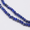 Natural Lapis Lazuli Beads Strands G-E351-09-3