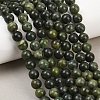 Natural Gemstone Beads Z0NCT013-1