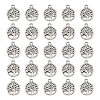 Tibetan Style Alloy Pendants FIND-DC0006-12A-1