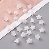 Transparent Acrylic Beads PL554-7