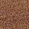 MIYUKI Round Rocailles Beads SEED-X0056-RR0275-3