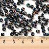 Iris Glass Seed Beads SEED-Z001-C-D08-4