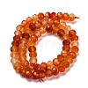 Natural Red Agate(Dyed & Heated) Beads Strands G-K380-A49-07-3