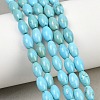 Natural Magnesite Beads Strands G-Z143-B01-01-1