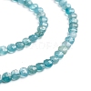 Natural Apatite Beads Strands G-E560-C10-4mm-3