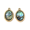 Natural Paua Shell Pendants STAS-G397-06G-02-1