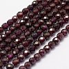 Natural Garnet Beads Strands X-G-F460-28-1