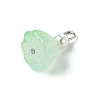 7Pcs Acrylic Charms PALLOY-JF03242-4