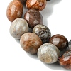 Natural Fossil Coral Beads Strands G-G117-A01-02-4