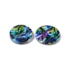 2-Hole Freshwater Shell Buttons SHEL-A004-01D-2