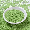 MIYUKI Round Rocailles Beads X-SEED-G007-RR0479-2