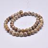 Natural Maifanite/Maifan Stone Beads Strands X-G-F353-8mm-2
