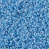 MIYUKI Round Rocailles Beads X-SEED-G009-RR0221-3