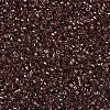 MIYUKI Delica Beads X-SEED-J020-DB1891-3