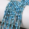 Natural Apatite Beads Strands G-D347-A01-1