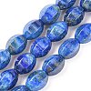 Natural Lapis Lazuli Beads Strands G-K311-09B-4