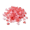Acrylic Beads OACR-C020-02G-1