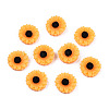 Opaque Resin Cabochons CRES-S307-005A-1