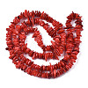Natural Freshwater Shell Beads Strands SHEL-S278-071-3