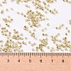 Cylinder Seed Beads X-SEED-H001-D06-2