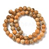 Dyed Natural Dolomite Beads Strands G-D337-8mm-D05-3