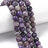 Natural Charoite Beads Strands G-C270-O02-05-1