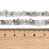 Natural Black Strawberry Quartz Chip Beads Strands G-B160-A03-5