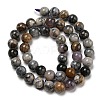 Natural Dendritic Jasper Beads Strands G-R494-A23-03-2