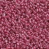 12/0 Glass Seed Beads E06900F2-3