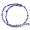 Natural White Shell Dyed Beads Strands BSHE-Z005-03C-2