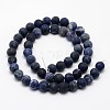 Natural Sodalite Beads Strands X-G-D682-12mm-2