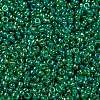 MIYUKI Round Rocailles Beads SEED-X0056-RR0354-3