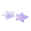 Transparent Acrylic Beads Caps OACR-B022-02A-2
