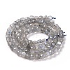 Natural Labradorite Beads Strands G-D0003-B10-2
