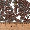 Transparent Colours Glass Seed Beads SEED-F006-03A-12-4