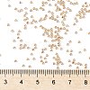 TOHO Round Seed Beads SEED-JPTR15-PF0551-4