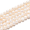 Natural Cultured Freshwater Pearl Beads Strands X-PEAR-N013-04F-2