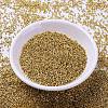 MIYUKI Delica Beads SEED-X0054-DB1832-2