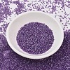 MIYUKI Delica Beads X-SEED-J020-DB1754-2