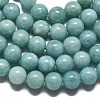 Natural Malaysia Jade Beads Strands G-L645-A01-10mm-25-2
