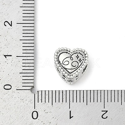 925 Sterling Silver European Beads STER-R005-02AS-04-1