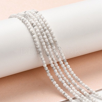 Natural Howlite Beads Strands G-E608-A01-A-1