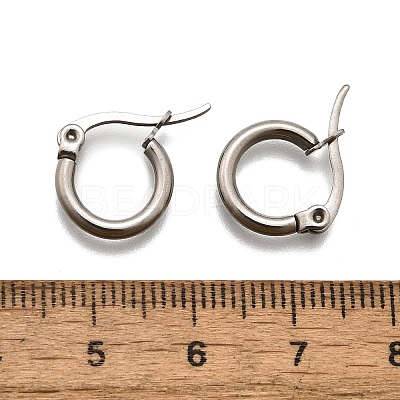 Tarnish Resistant 304 Stainless Steel Hoop Earrings EJEW-F105-36P-1